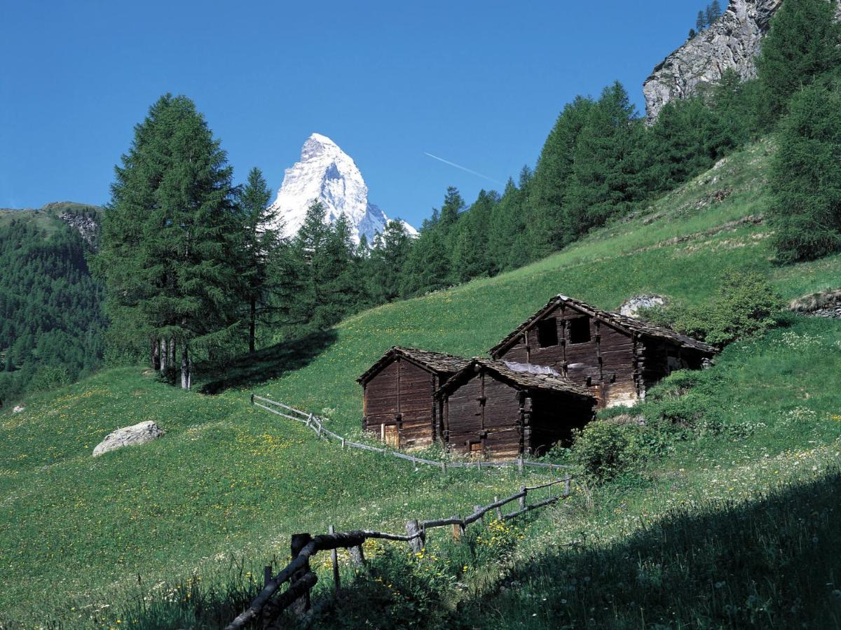 Apartment St- Martin By Interhome Zermatt Ngoại thất bức ảnh